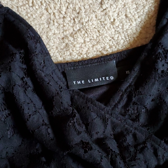 ⭐️ 3/$15 ⭐️ The Limited lace mini dress - Picture 4 of 8